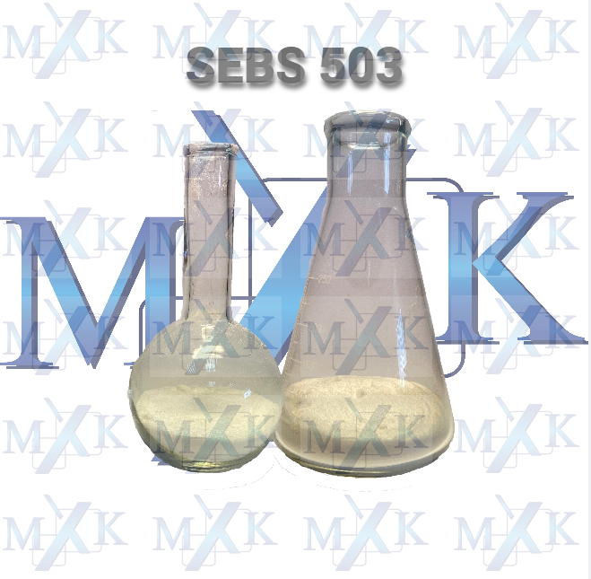 SEBS 503